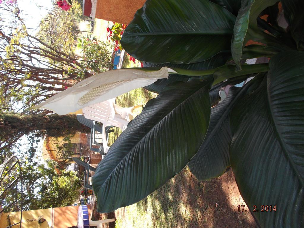 Charlys-Bungalows Hotel Margaritas Camera foto